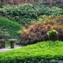 Ботанический сад в городе Сан-Фернандо - Филиппины