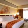 Отель Manila Marriott Hotel 5*