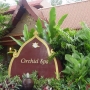 Отель Phuket Orchid Resort And Spa