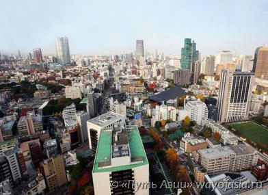 Вид с телебашни в Токио, Япония, Tokyo Tower