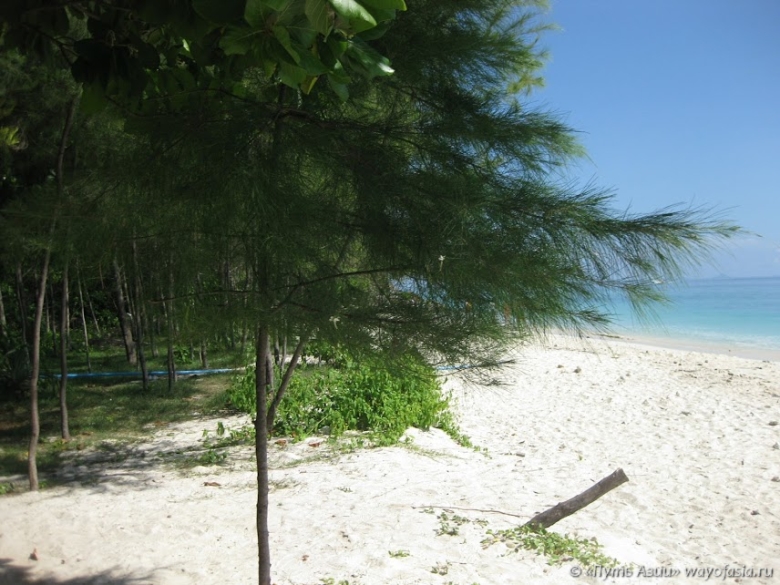 Пляж на острове Бамбу
